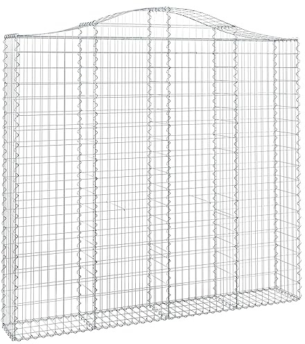 vidaXL 2X Paniers à Gabions Arqués Cages à Gabions Arquées Murs de Gabion Barrières de Jardin Terrasse Extérieur 200x30x180/200 cm Fer Galvanisé