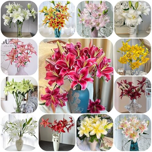 10zwiebeln lilien, lilium brownii, lilienzwiebeln winterharte kübelpflanzen, blumenzwiebel frühlingsblüher blumendeko blumenstrauß