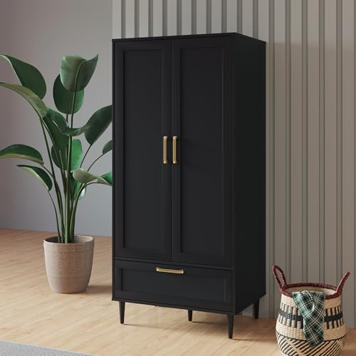 ALBSL Bedroom Armoire Wardrobe Closet with Hanging Rod,60 2 Door Almirah for Clothes with Drawers,Morden Storage Cabinet,Black