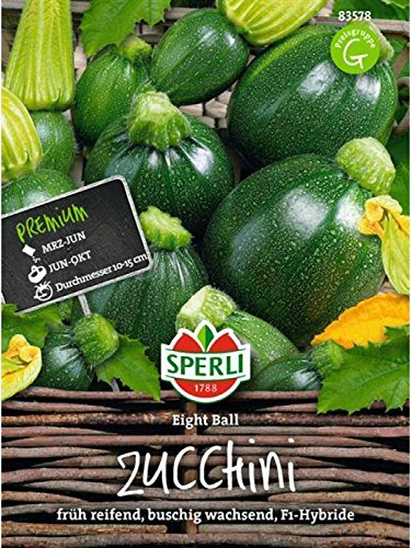 Zucchini Eight Ball F1