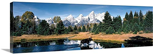 CANVAS ON DEMAND Moose & Beaver Pond Grand Teton National Park Wy Canvas Wall Art Print, Home Decor, Wildlife, United States Artwork, 60x20