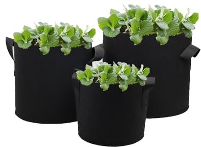 Xersex 3 Stück Pflanze Wachsende Tasche, Vliesstoff Pflanztasche Pflanzsack mit Griffe für Kartoffeln, Tomaten und Erdbeeren, Gewächshaus und Garten (12 Gallonen)