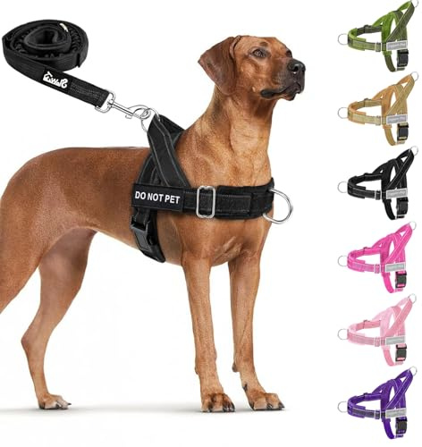 Eyein No Pull Harness for Dogs, Pet Vest and Lead Set with Front Clip | No Choke Design, Adjustable Reflective Anti-pull, Heavy Duty Soft Padded for Walking Training, for Medium Large Dog(Black,XL)