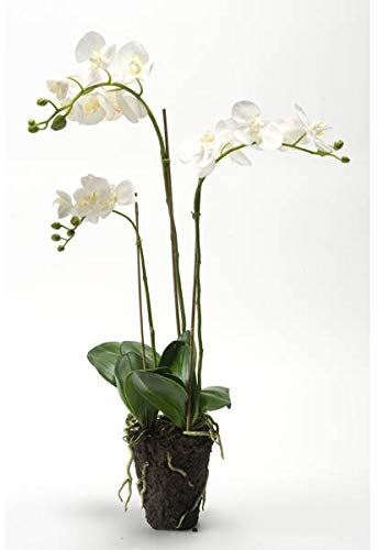 artplants.de Künstliche Phalaenopsis Orchidee Pabla im Erdballen, weiß - gelb, 70cm - hochwertige Kunstorchidee