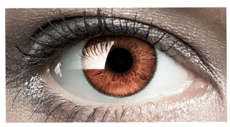 Bausch + Lomb SofLens Natural Colors Monatslinsen, sphärische Kontaktlinsen, weich, India 2 Stück BC 8.7 mm / DIA 14 / -1.5 Dioptrien