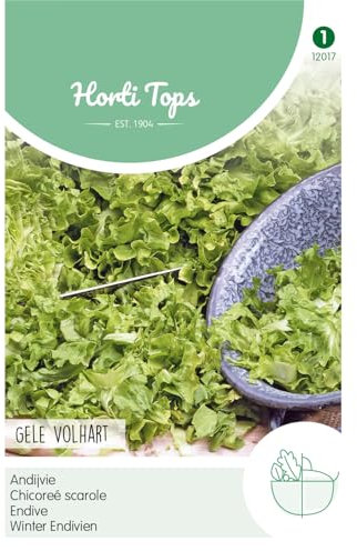 Hortitops 12017 Winterendivien Escariol Jaune (graines de salade d'endives)