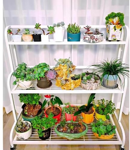 Étagère échelle en métal à 3/4 niveaux, étagère de rangement pour plantes, étagère pour bureau et maison, supports de fleurs de jardin, jardinière, étagère pour plantes Junvstor(60x 40x107cm à 3 nivea