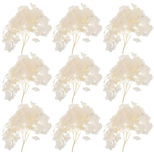 SUPVOX Pétalos de Hortensia Seca Natural 30g (3 Cajas de 10g) Color Beige Vintage, Flores Preservadas para Decoración de Bodas, Centros de Mesa y Manualidades, Ramo Artesanal