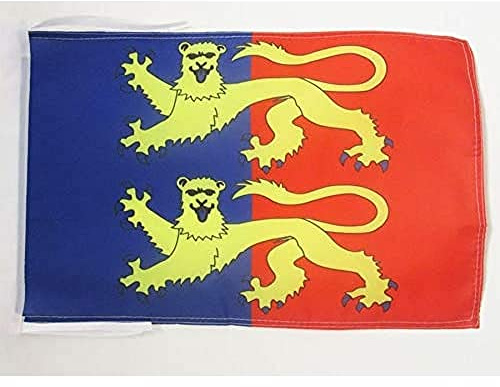 AZ FLAG Drapeau Manche 45x30 cm Français Polyester 100D Cordelettes | Usage intérieur et extérieur Drapeau décoratif coutures doubles et bords renforcés