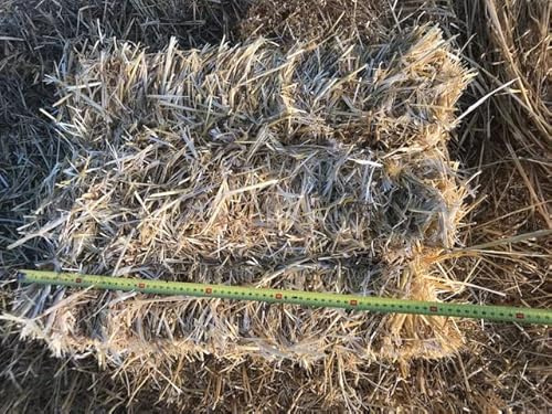 Paglia di Grani Antichi Bio di Alta Qualità, da Usare come Alimento o per la Lettiera degli Animali in Balletta balla da Circa 5 Kg, Dimensioni 50x50x40, Naturale, Assorbente, Ecologica, Termoisolante
