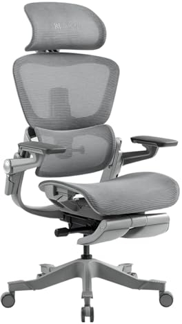 HINOMI H1ProV2 Bürostuhl Ergonomisch, Ergonomischer Bürostuhl mit 3D-Kopfstütze,Bürostuhl mit Fußstütze,Verstellbarer Schreibtischstuhl,Ergonomischer Stuhl für Büro und Studium(Grau,Überhöhe)