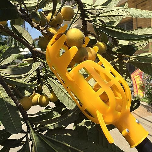 LekLai Obstpflücker-Kopfkorb, Obstpflücker Aus Kunststoff, Obstpflücker-Erntekorb, Apfelernte-Pflückwerkzeug, Garten-Obstfänger Für Obstgarten/Yellow