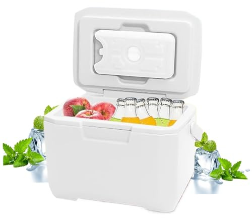 Kleine 6-Liter-Kühlbox mit 5 Kühlakkus, 72–96 Stunden Kühlung – auslaufsichere, isolierte Gefrierbox mit Griff für Grillen, Camping, Reisen