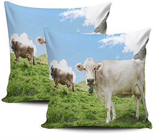 Pillowcase Vaca Lechera con Cencerro Pastando En La Hierba Verde De Las Montañas sobre Un Fondo Azul Fundas De Almohada Moderna Fundas Cojín Cremallera Oculta Almohada Protectores Caso 45X45Cm