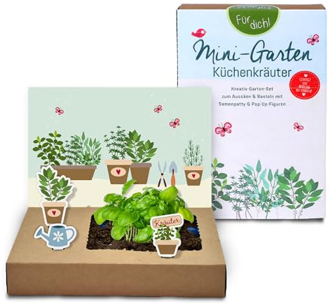Tool & Tree mini-Garten Küchenkräuter Set – Nachhaltiges Anzuchtset mit Basilikum-Saatgut, Anzuchtschale & Pop-Up-Deko – für Gärtner, Familie & kreative Köpfe – inkl. Anzuchterde & Kräutererde