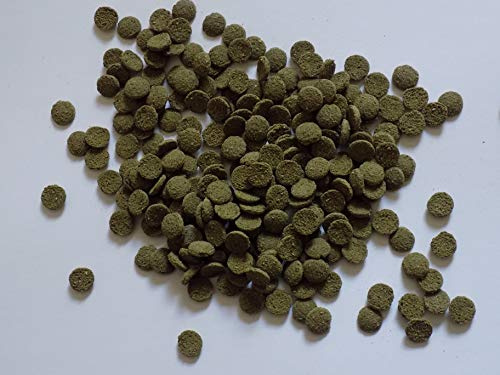 Koidivision Spirulina Algae Wafer Tablet 100Gram - 5KG Mini 6mm Tropical Aquarium Pleco Catfish, bottom Feeder Fish Food Feed (500 gm)