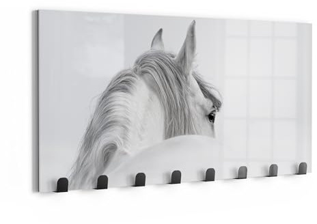 DEQORI Wandgarderobe Glas & Metall | Motiv Andalusisches Pferd | 60x30 cm | Design Haken-Leiste modern | Garderoben-Paneel für Flur, Wohnzimmer & Schlafzimmer | magnetisch & beschreibbar