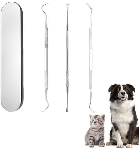 Juguta 3PC Zahnsteinentferner Set Für Hunde Und Katzen, Professionelle Zahnreinigung, Zahnpflege Set, Doppelkopf Zahnsteinentferner, Zahnreiniger, Zahnsonde Scaler Aus Edelstahl, Haustierfreundlich