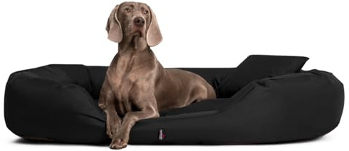 tierlando® Orthopädisches Hundebett Sammy mit viscoelastischer Matratze und hohem Rand aus robustem Polyester für gelenkschonenden Schlaf und höchsten Komfort Größe: 140x105cm | Farbe: 03 Schwarz