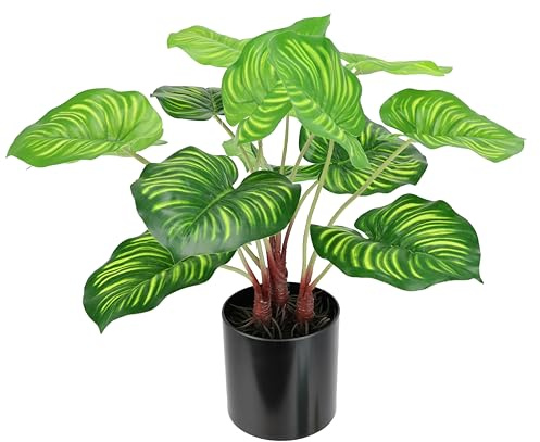Künstliche Maranthus Pflanze im Topf Anthuriumblattpflanze Efeutute Photospflanze Zimmerpflanze Deko Seidenblume Pflanzen Kunstpflanze Dekopflanze Grünpflanze Büropflanze Pothos Blattpflanze Busch
