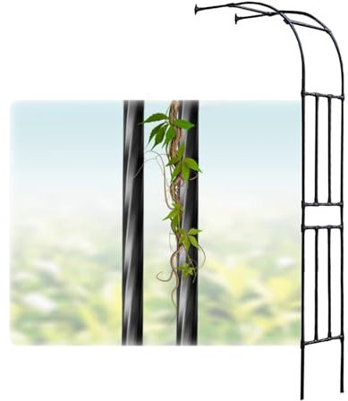 LIYI929GP Rosenbogen Halbbogen Gartenbogen | Rankhilfe Rankgitter Für Kletterpflanzen | Halbrosenbogen Metall Spalier Wandbogen | Robust Rosen Torbogen Rankgitter Für Klettern Gemüse Blumen Obst Rebe