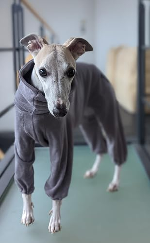 EDEL&SCHNELL Hundebademantel aus grauem Frottee, saugfähiger und weicher Bademantel Hund, Rückenlänge 70-75 cm, ideal für Windhunde, Whippets, Ridgebacks, Dalmatiner