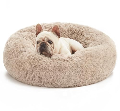 Spocado County Hundebett, Flauschiges Donutbett für Hunde & Katzen, weiches Polyester, maschinenwaschbar, Anti-Rutsch-Noppen, robust & langlebig (Beige, 50 x 50 x 20 cm)