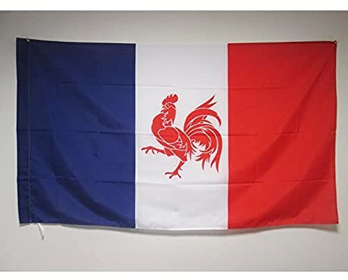 AZ FLAG Drapeau Mouvement Wallonie française 90x60 cm Fourreau | Usage intérieur et extérieur Drapeau décoratif wallon français coutures doubles et bords renforcés avec fourreau pour mât