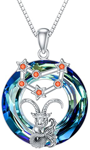 enjoylifecreative Capricorn Zodiac Sign Crystal Necklace 925 Sterling Silver Birthstone Constellation Pendant Chain Horoscope Astrology Jewellery Gifts for Women