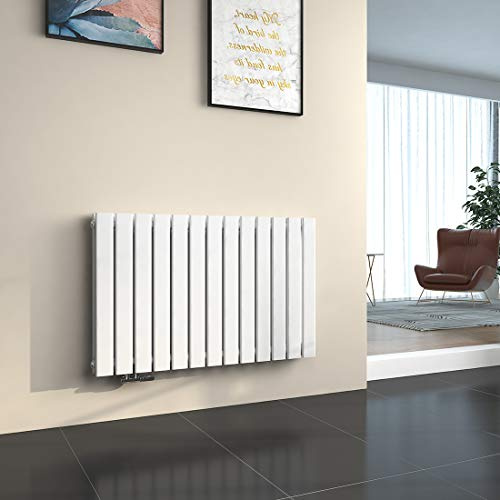 EMKE Radiateur à Eau Chaude Mural Chauffage 63 x 100 cm Radiateur Blanc Horizontal en Acier Double Couche 1343W Radiateur Salle de Bain