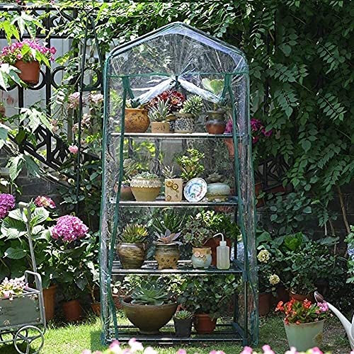 LSDRALOBBEB Treibhaus Foliengewächshaus 4-stufiges transparentes PVC-Gewächshaus, begehbares Gartengewächshaus mit Regalen, wasserdichtes Gewächshaus für Samen Sukkulenten 807(Size:L)