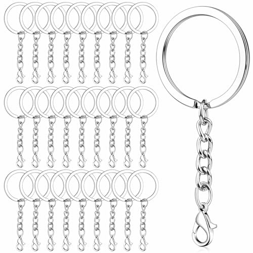Anillas Llaveros con Cadena,100 Piezas Redondo Anillas para Llaveros Planos con Cierre de Langosta,Chaveiro de Metal 25mm Plata Argollas Porta Chaves para Keychain DIY Llaves Joyería Artesanía