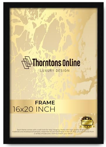 Throntons Large Poster Frame 16 x 20 Inch Large Picture Frames Shatter-Resistant Perspex Portrait & Landscape Display Frames for Wall Decoration Photos Canvas Paintings Art Gallery (16 x 20 '')