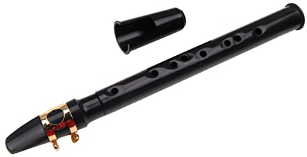 Toyvian Kleiner Saxophon Tragbares Taschensaxophon 8-loch aus Kunststoff mit Geradem Schallstück Handgefertigtes Kleines Holzblasinstrument für Anfänger und Musiker