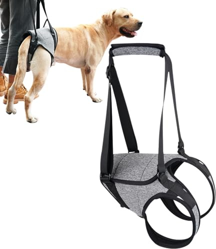 Verdrahtung Für ältere Hunde, Geschirr Für Große Hunde, Sie Können Die Hebekable Für Den Hund Verwenden | Dogen Assulation Alio Alio Alio PfandAlio | Senior Dog Harness Gehhilfe