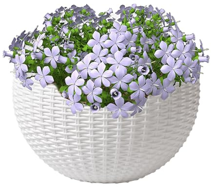 Wall Hanging Flower Pot, Imitation Rattan Wall-Mounted Flower Pots, Modern Semicircular Houseplant Container, Flowers Basket For Indoor Outdoor Railing Fence Decor