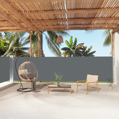 Seitenmarkise Ausziehbar Anthrazit 160x1000 cm für Garten Terrasse Balkon, UV-beständiger Polyester Sonnenschutzstoff, Außenmarkise mit Sichtschutz, Windschutz und Privatsphäre