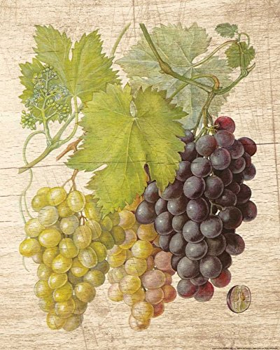 Bild auf gerollter Leinwand, Weinrebe 2 Nobleworks, vertikaler Kunstdruck, Küchendekoration, botanische Heimdekoration, Traubenblätter, V, Leinwand, Kunstdruck, 66 x 50 cm