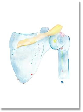 Anatomie des menschlichen Organs, Wandkunst, Leinwanddruck, Aquarell, Schulter, Hüfte, Knie, Malerei, Wirbelsäule, Poster, medizinische Kunst, Geschenk-Dekor(Picture 4,30x40cm No Frame)
