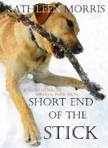 Short End Of The Stick - 10 Short Stories Of Spiritual Inspiration (Short Inspirations Book 2) (English Edition)