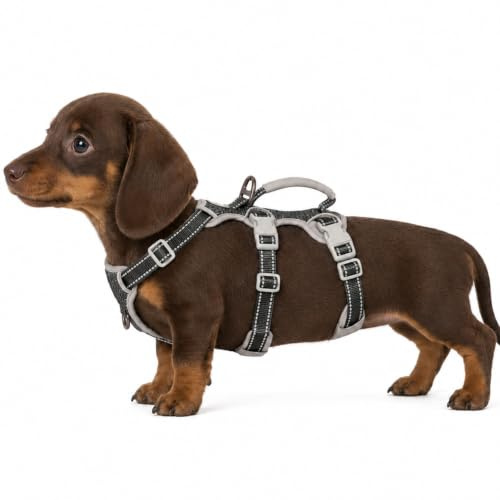 Huntboo Hundsele för små hundar,Secure Dog Harness No Escape, Fullt reflekterande sele med handtag,andningsbar,slitstark, justerbar väst för små hundar Walking,Training och Running Gear