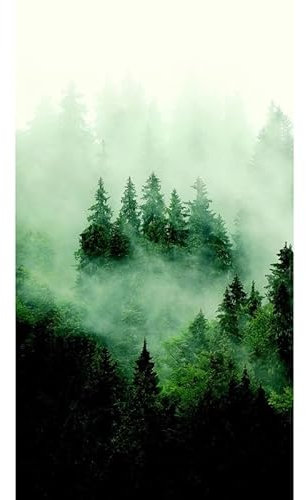 AG Design Poster intissé - Foret Sombre avec Brouillard - 150 x 270 cm