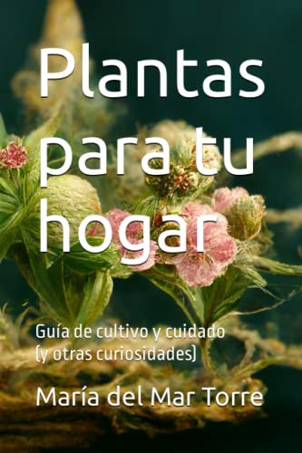 Plantas para tu hogar: Guía de cultivo y cuidado (y otras curiosidades)