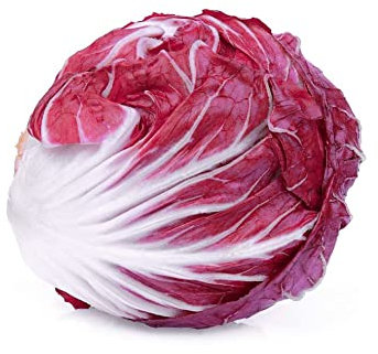 250 Red Leaf Chicory Seeds - Pottery Salad - Peasant Seeds