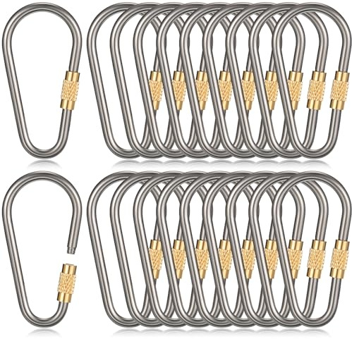 Skylety 10 Pieces Mini Titanium Locking Clips D-Ring Locking Snap Keychain Keyring Screw Lock Buckle for Outdoor Indoor Dog Tags Use, Lightweight and Sturdy