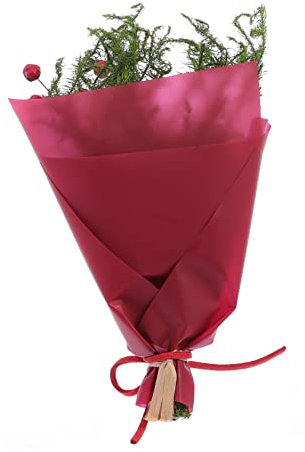 RORPOIR 1 Stück Trockenblumenstrauß Blumengeschenkverpackung Urlaubsstraußetui Hochzeitsblumenetui Blumenstrauß Geschenkorganisator Modestraußverpackung Blumenstraußhalter