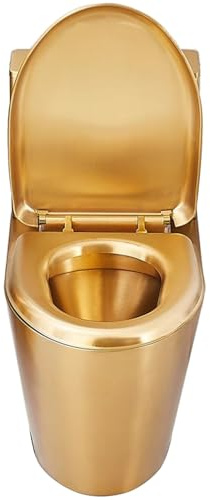 WXXSHGDW WXXZCE Stand Wc mit Spülkasten Komplett, Wc Komplettset Edelstahl 304, Komfort-Sitzhöhe 40cm, Siphon-Spülung, Frostschutz, für Einkaufszentren, Bars, Krankenhäuser(Gold)