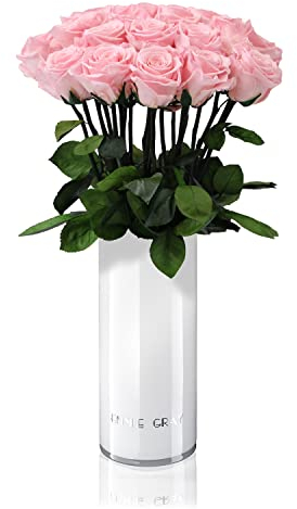 Classic Vase Set | Long Stem Infinity Rosen inkl. weißer Glasvase - Luxuriöser Rosenstrauß aus echten Premiumrosen, die 1-3 Jahre halten, haltbare Rosen, das perfekte Geschenk (Bridal Pink, 15 Rosen)