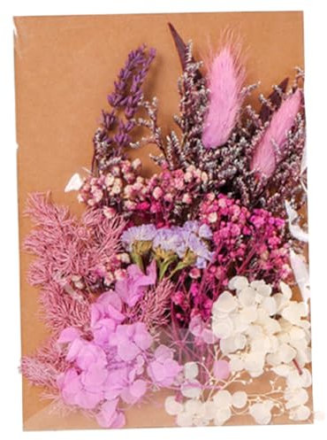 Cabilock 1tasche Trockenblumen Für Epoxidharz-basteln Kerzenherstellung DIY-kunsthandwerk Nailart Harzformen Schmuckdesign Schreibwaren Kreatives Selbermachen