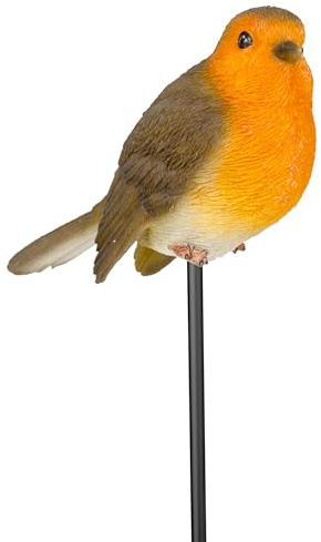 Vivid Arts - Robin Plant Pal - PLP-099